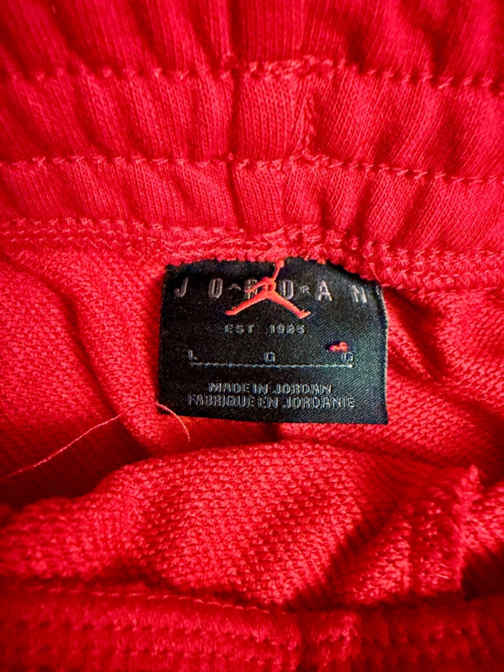 Jordan Men's Jumpman Logo Fleece Shorts - Picture 4 of 4